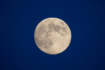 A full moon in a dark blue sky. A supermoon in the dark blue sky. Bright lunar satelite.