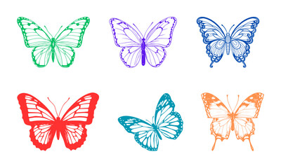 collection of butterflies