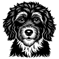 Portuguese water dog black silhouette vector with white background