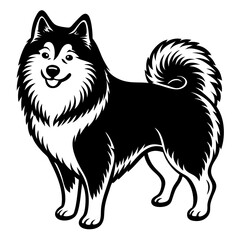 Samoyed dog black silhouette vector with white background