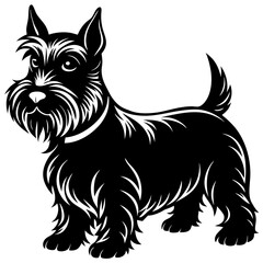  Scottish terrier dog black silhouette vector with white background