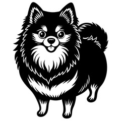 Pomeranian dog black silhouette vector with white background