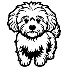 bichon frise dog black silhouette vector with white background