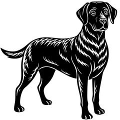 Chesapeake bay retriever dog black silhouette vector with white background