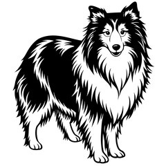 Shetland sheepdog black silhouette vector with white background