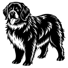 Newfoundland dog black silhouette vector with white background