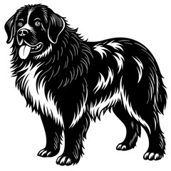 Newfoundland dog black silhouette vector with white background