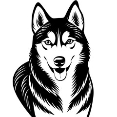 Siberian husky dog black silhouette vector with white background © Arnob