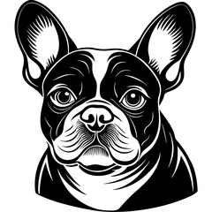  French bulldog dog black silhouette vector with white background
