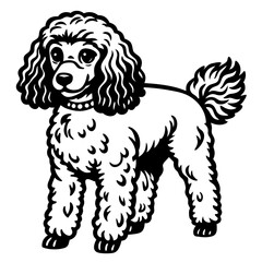 poodle dog black silhouette vector with white background