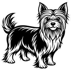Yorkshire terrier dog black silhouette vector with white background