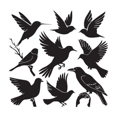 Silhouettes – Birds Birds of Spring Pigeons Flying Silhouettes 4