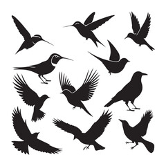 Silhouettes – Birds Birds of Spring Pigeons Flying Silhouettes 4