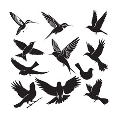 Silhouettes – Birds Birds of Spring Pigeons Flying Silhouettes 4
