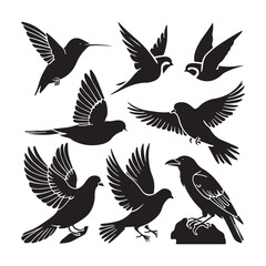 Silhouettes – Birds Birds of Spring Pigeons Flying Silhouettes 4