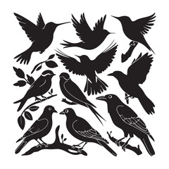 Silhouettes – Birds Birds of Spring Pigeons Flying Silhouettes 4