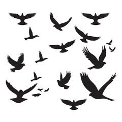 Silhouettes – Birds Birds of Spring Pigeons Flying Silhouettes 4