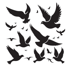 Silhouettes – Birds Birds of Spring Pigeons Flying Silhouettes 4