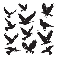 brid silhouette Pigeons Flying Silhouettes 6 Raven Silhouette 