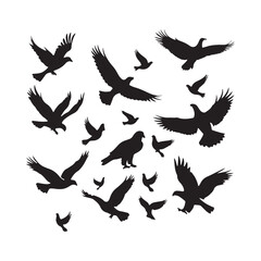 brid silhouette Pigeons Flying Silhouettes 6 Raven Silhouette 