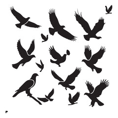 Fototapeta premium brid silhouette Pigeons Flying Silhouettes 6 Raven Silhouette 