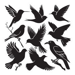 brid silhouette Pigeons Flying Silhouettes 6 Raven Silhouette 