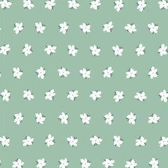 Floral seamless pattern. Cute flower background. White daisy on mint green background.