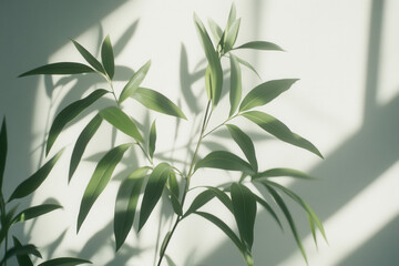 Fototapeta premium Lush leaf shadows creating a vibrant springtime feel on a wall.