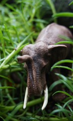 Toy elephants in the bushes, in the park as if living in the forest are made to look like this is real