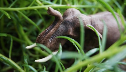 Toy elephants in the bushes, in the park as if living in the forest are made to look like this is real