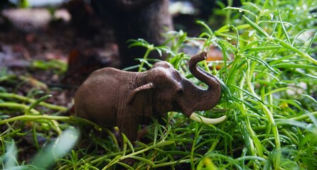 elephant toy, cute elephant toy in the photo in the bushes and grass, looks beautiful and real