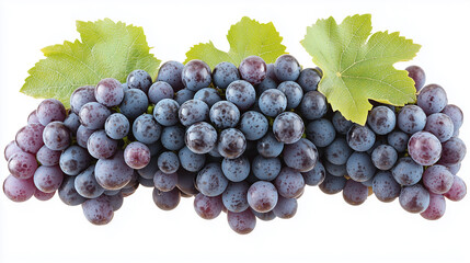 Fototapeta premium A cluster of grapes in vibrant purple or green.