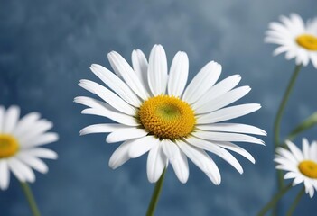 Fototapeta premium White daisy flower in watercolor style against blue, vibrant, watercolor