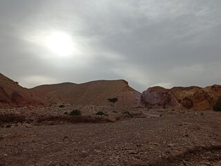 rocks in the desert