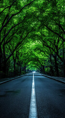 Fototapeta premium Serene Road Lined with Lush Green Trees
