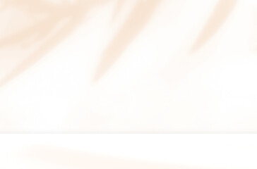 Empty brown beige cream room studio with sunlight effect shadow of leaves. Minimal background for product presentation. Autumn, Summer or Spring backdrop. Cosmetic and beauty products display room.	
