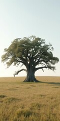 Ancient, sprawling oak tree stands alone in a vast field, forest,ancient