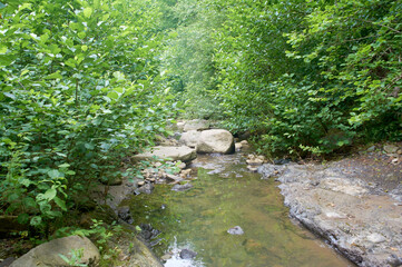 A mountain river flowing through green meadows and coniferous forests along an dirt road full of rocks. Summer season, the woodlands are bursting with greenery.