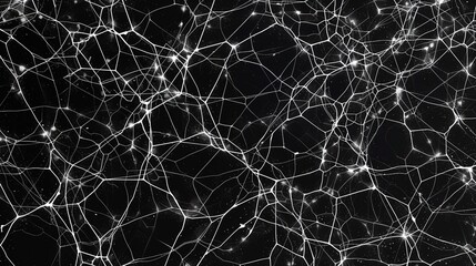 Black background with a white web-like pattern of neural connections. 