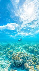 Fototapeta premium A serene underwater scene featuring a dolphin swimming over coral reefs.