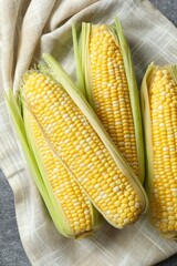 Fresh corn on cobs on wooden background, top view