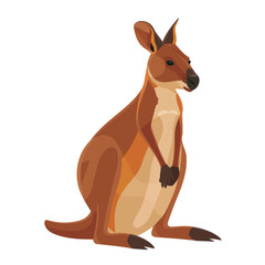 Flat vector wallaby, isolated on a white background.