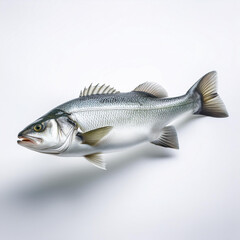 Fototapeta premium Generpoisson, bar , isolé, aliment, blanc, frais, brut, animal, pêche, fruits de mer, mer, ailette, carpe, sain, , queue, tête, fond blanc, attraper, argent, fraîcheur, nature,, eau douce,ated image