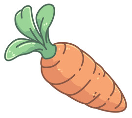 Carrot vector illustration