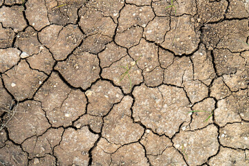 Background of cracked earth due to drought