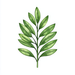 Fresh green leaves with detailed textures and vibrant colors. Perfect for nature themed designs