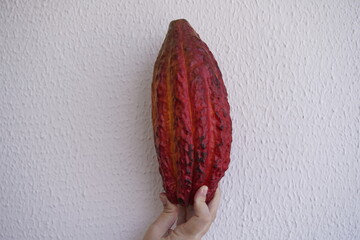 The cocoa bean, also known simply as cocoa or cacao, is the dried and fully fermented seed of...
