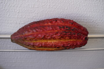 The cocoa bean, also known simply as cocoa or cacao, is the dried and fully fermented seed of...