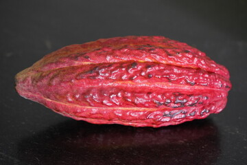 Fototapeta premium The cocoa bean, also known simply as cocoa or cacao, is the dried and fully fermented seed of Theobroma cacao. Fortaleza - Ceara, Brazil.
