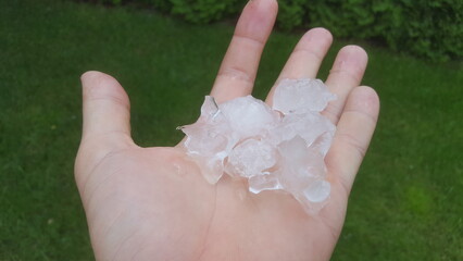 dłonie, kwiat, palce, lód, grad, grad na ręku, kostki lodu © Miroslaw